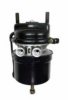 DAF 1519196 Multi-function Brake Cylinder